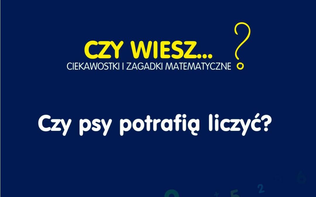 Czy psy potrafią liczyć?